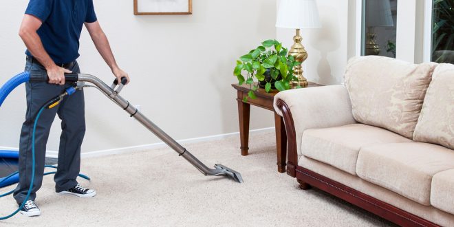Expert Carpet Cleaning Perth