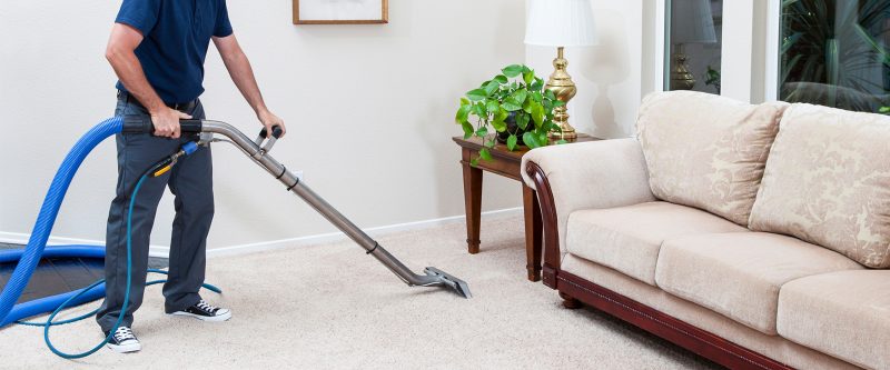 Expert Carpet Cleaning Perth