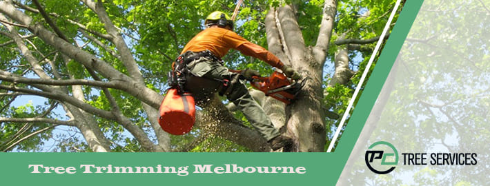 Tree Trimming Melbourne