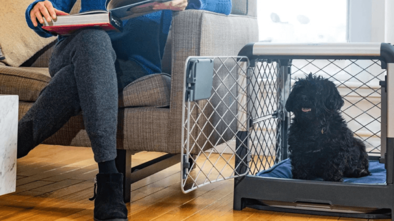 Read These Before You Buy Collapsible Dog Crate