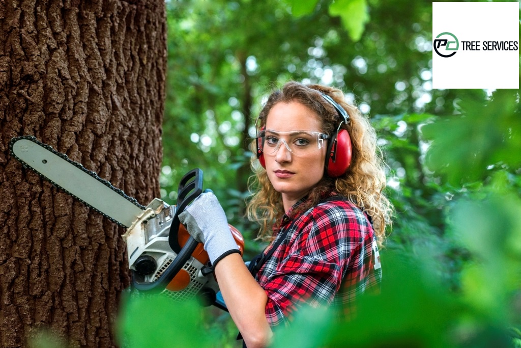 The Importance Of Hiring Tree Removal Service For Peace Of Mind