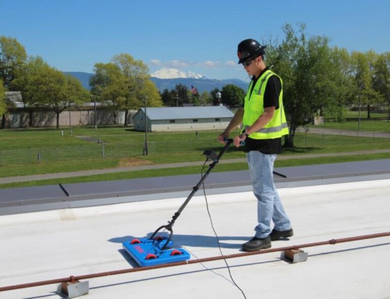 The Dangers of Roof Leaks: Why You Should Address Them Immediately?