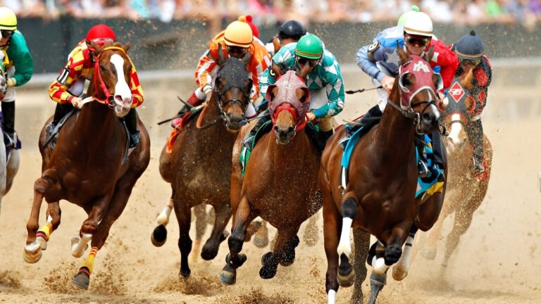 Race Horse Syndicates: The New Frontier in Horse Racing