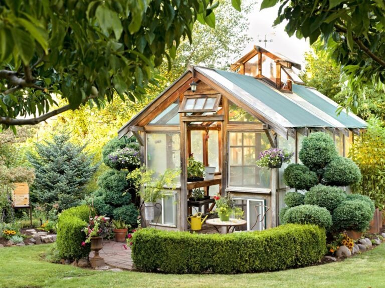 Greenhouse Buying Tips for Budding Gardeners